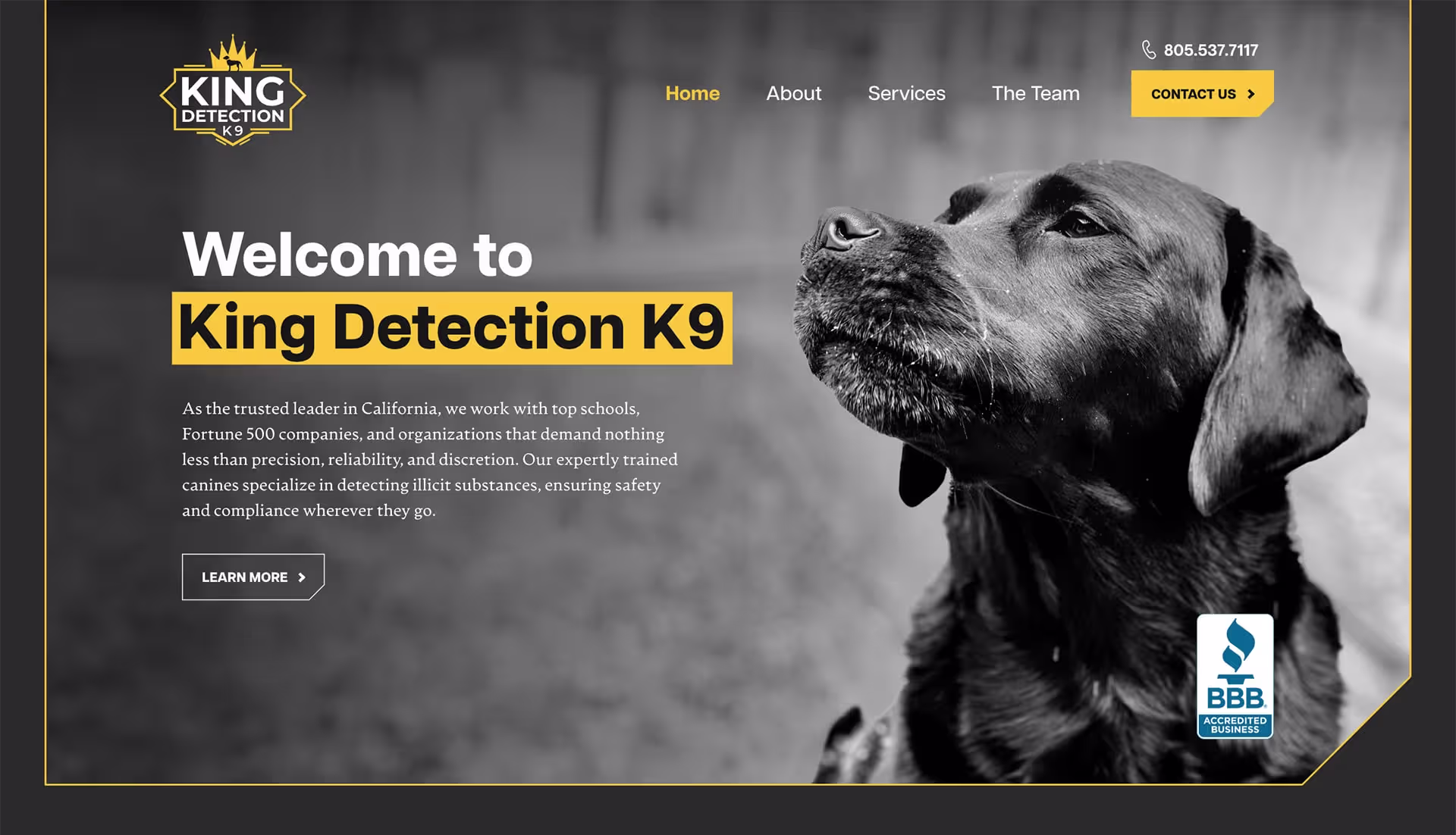 Hero section showing a black detection dog with the headline 'Welcome to King Detection K9' and navigation links.